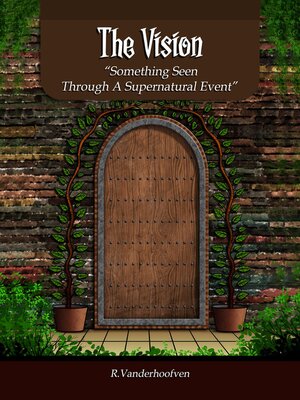 cover image of The Vision